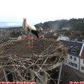 07_25-nest.jpg