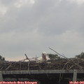 07_35-mast.jpg