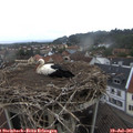 07_35-nest.jpg