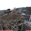 07_45-nest.jpg