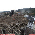 07_55-nest.jpg