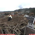 09_20-nest.jpg