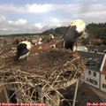 10_25-nest.jpg