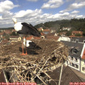 12_05-nest.jpg
