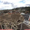 12_15-nest.jpg