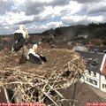 12_35-nest.jpg