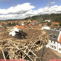 13_00-nest.jpg