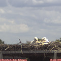 13_05-mast.jpg