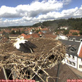 13_05-nest.jpg