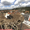 13_10-nest.jpg