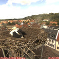 13_20-nest.jpg