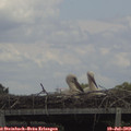 13_45-mast.jpg