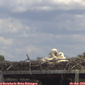 14_05-mast.jpg