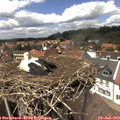 14_05-nest.jpg