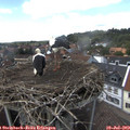 14_30-nest.jpg