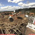 14_35-nest.jpg