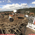 14_45-nest.jpg