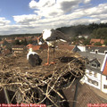 14_55-nest.jpg