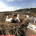 16_25-nest.jpg