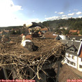 16_45-nest.jpg