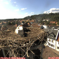 17_00-nest.jpg