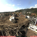 17_05-nest.jpg
