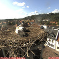 17_10-nest.jpg