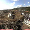 17_15-nest.jpg