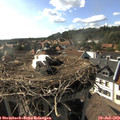 17_20-nest.jpg