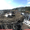 17_35-nest.jpg