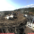17_45-nest.jpg