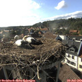 17_55-nest.jpg