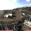 18_00-nest.jpg