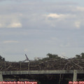 18_45-mast.jpg