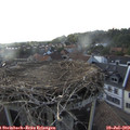 18_45-nest.jpg
