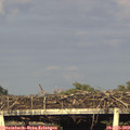 19_00-mast.jpg