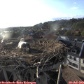 19_25-nest.jpg