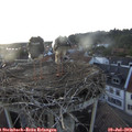 20_00-nest.jpg