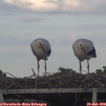 20_05-mast.jpg