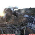 20_20-nest.jpg