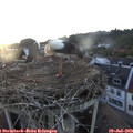 20_25-nest.jpg