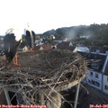 06_00-nest.jpg