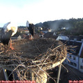 06_15-nest.jpg