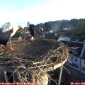 06_20-nest.jpg