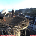 06_25-nest.jpg