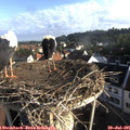07_25-nest.jpg