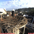 07_30-nest.jpg