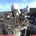 07_55-nest.jpg