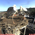08_35-nest.jpg