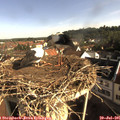 08_45-nest.jpg